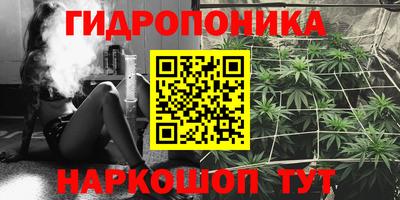 индика Пенза