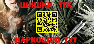 индика Пенза