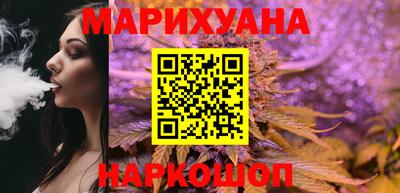 индика Пенза