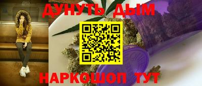 индика Пенза