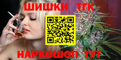 индика Пенза