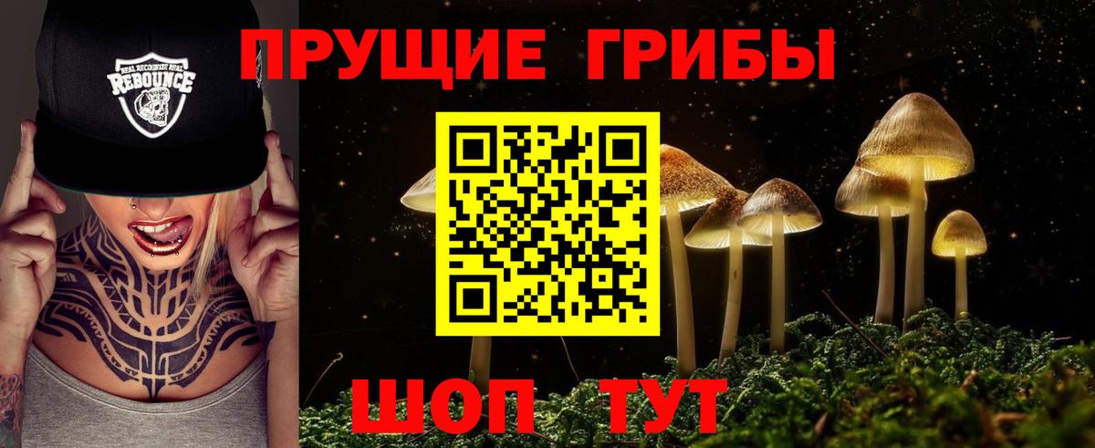 Галлюциногенные грибы GOLDEN TEACHER Самара