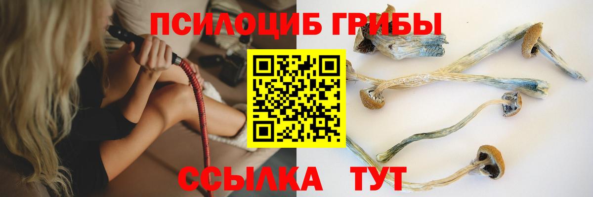 Самара  Галлюциногенные грибы прущие грибы  Вход с VPN 